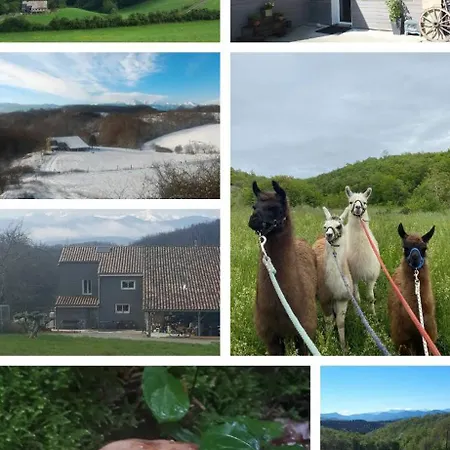 Bulle Perchee אוהל מפואר