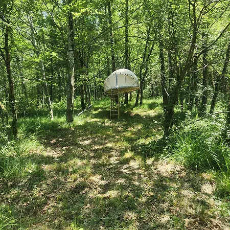 אוהל מפואר Bulle Perchee *